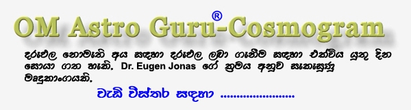 OM Astro Guru�